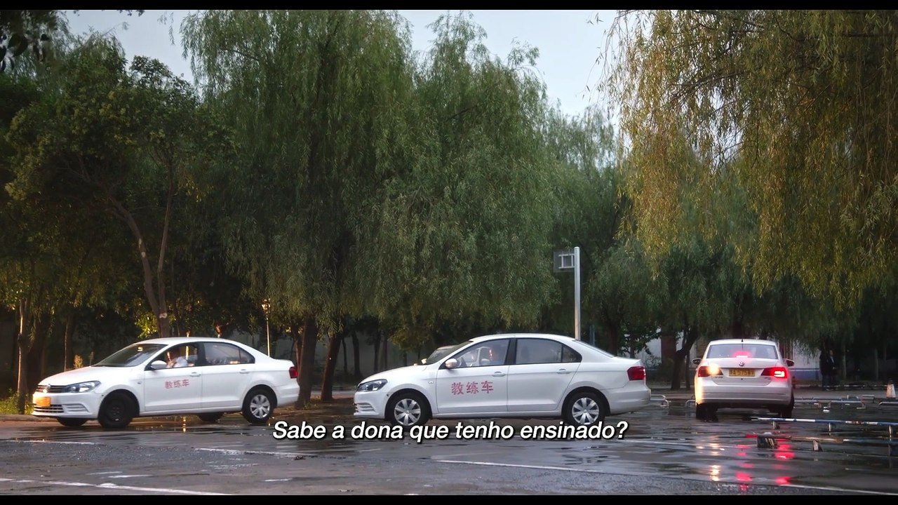 O Despertar de uma Vida (LEGENDADO)