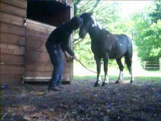 Travail avec le lou 019