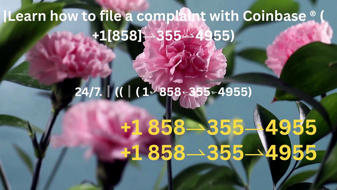 Complete List of Official Coinbase Customer Service Number, HELP-DESK Helpline 24/7 Care