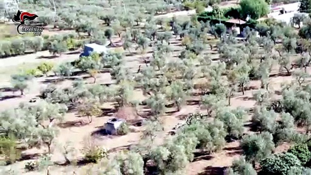 Confisca definitiva da 1 milione a Bari: lo Stato scacco matto al 're dei portavalori'. Sigilli a ville e terreni
