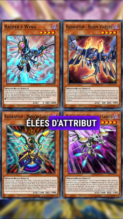 raidraptor yugioh deck Raidraptor