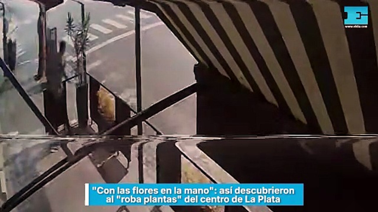 Con las flores en la mano