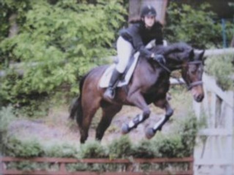 Premier concours de ma tite jument !