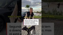 Cachorro adotado por cantora na Paraíba conhece ‘irmãos’ caninos: 'Merece essa vida boa' #shorts