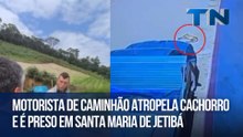 Motorista de caminhão atropela cachorro e é preso em Santa Maria de Jetibá