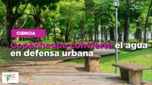 Copenhague convierte el agua en defensa urbana