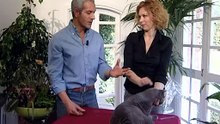 02 Enciclopedia Del Gatto - Il Gatto Certosino