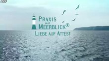 Praxis mit Meerblick -29- Liebe auf Attest