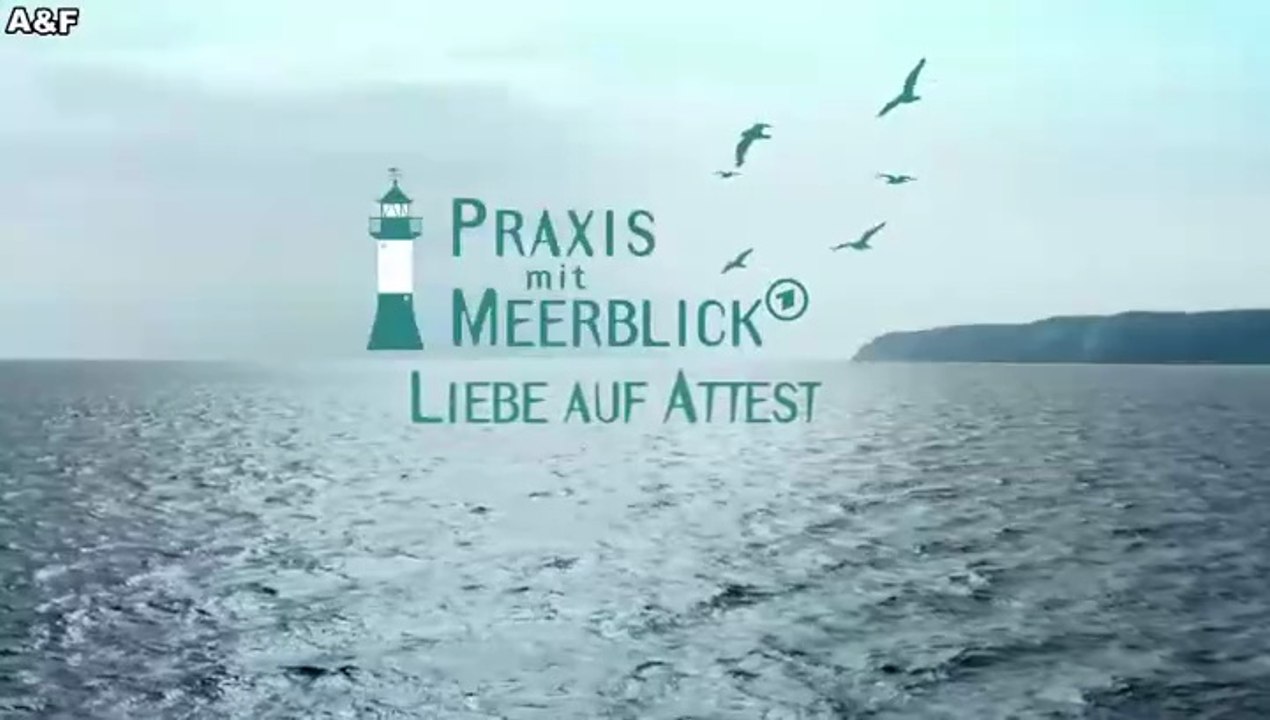 Praxis mit Meerblick -29- Liebe auf Attest