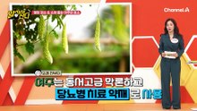 당화혈색소 12.2% → 6.1% 반전 비결, 여주와 효소의 힘