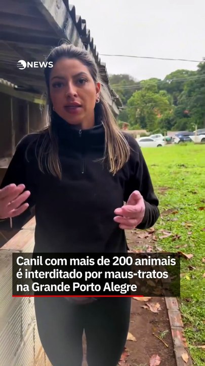 Canil com mais de 200 animais é interditado por maus-tratos na Grande Porto Alegre