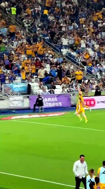 Gol 17 de la delantera