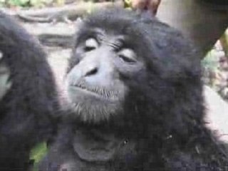 Ep 2 Partie 3 Les Missions de Chanee