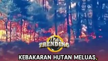 Kebakaran Hutan Meluas, Pemerintah Jepang Kerahkan 700 Pemadam dan 13 Pesawat Pengebom Air