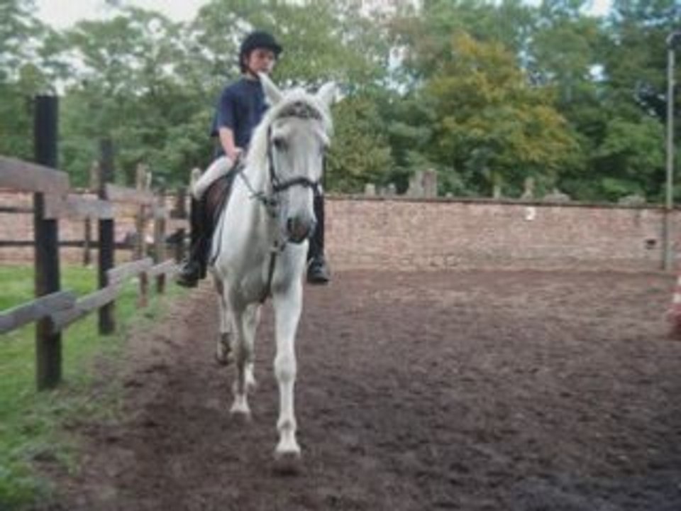 Bambi du Coue part a la retraite...