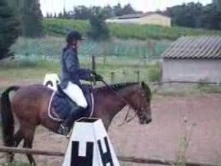 Dressage C.C.E St Gilles . [ =/ ]