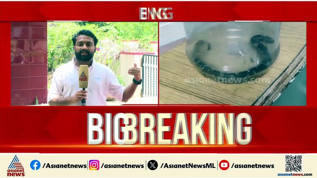 പാലക്കാട് അങ്കണവാടി ടീച്ചര്‍ക്ക് പാമ്പ് കടിയേറ്റു; കടിച്ചത് വിഷ പാമ്പല്ല