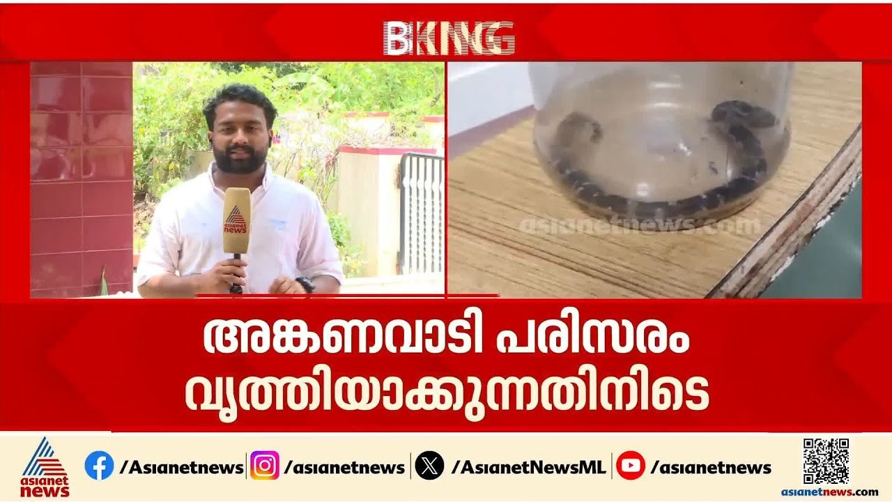 പാലക്കാട് അങ്കണവാടി ടീച്ചര്‍ക്ക് പാമ്പ് കടിയേറ്റു; കടിച്ചത് വിഷ പാമ്പല്ല