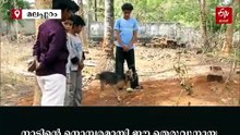ഉമ്മ മരിച്ചതറിഞ്ഞില്ല, ഖബറിന് കാവലായി ആ തെരുവുനായ; കണ്ണുനനയിച്ച് ഒരു കാഴ്ച