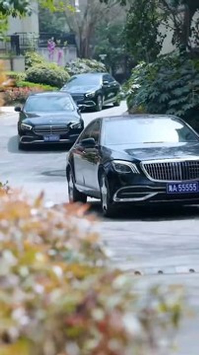 Ten Years of Sacrifice: Framed for the Adopted Son / They Chose Him Over Blood / From Trash to Throne /The Decoy Son / Jailed for their Golden Boy / Silent Asylum : The Adopted Son's Crime