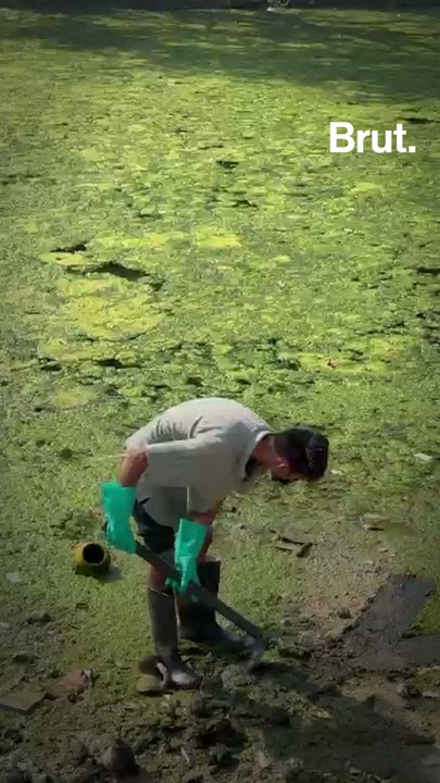 Bittu Tabahi: One Man’s Mission to Clean His River