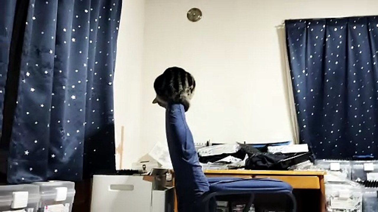 ゲーミングチェアの上に立つミア9