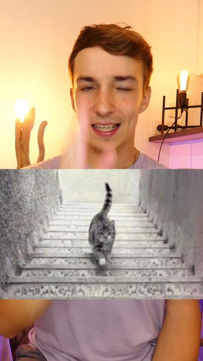 Chat bizarre