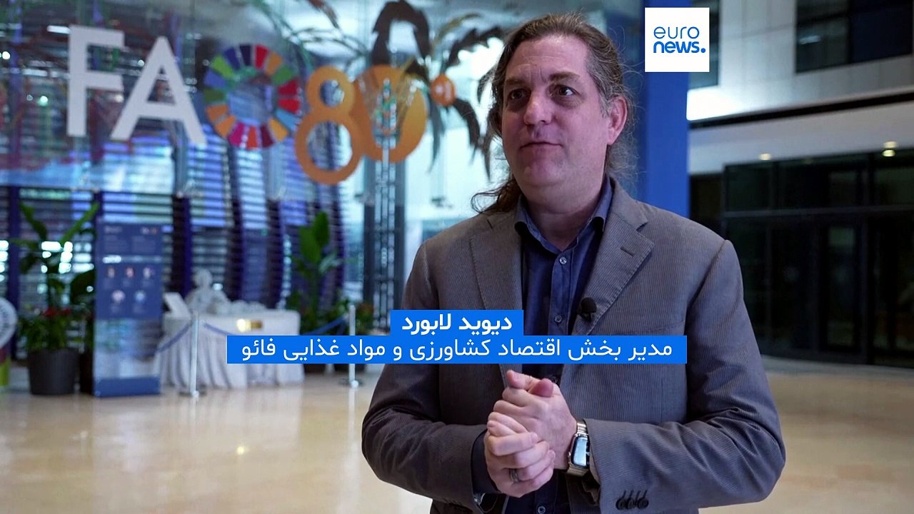 هشدار سازمان ملل درباره چشم‌انداز «تیره» امنیت غذایی؛ دو سوم جمعیت گرسنه جهان در ۱۰ کشور متمرکزند