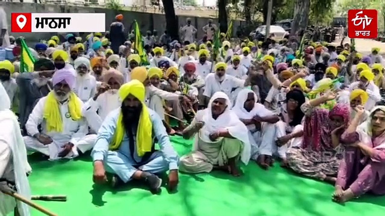 ਬਿਜਲੀ ਦੇ ਕੱਟਾਂ ਤੋਂ ਪਰੇਸ਼ਾਨ ਮਾਨਸਾ ਦੇ ਕਿਸਾਨਾਂ ਨੇ ਘੇਰਿਆ ਐਕਸੀਅਨ ਦਫਤਰ