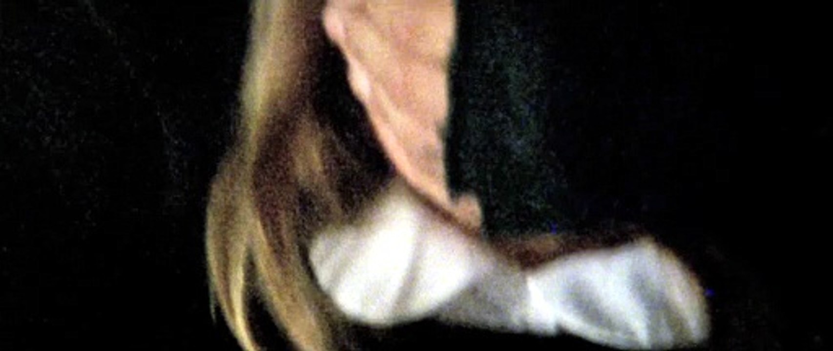 The Traveller - Nobody will survive