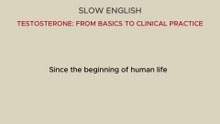 TESTOSTERONE: FROM BASICS TO CLINICAL PRATICE