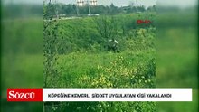 Avcılar’da köpeğine kemerli şiddet uygulayan kişi yakalandı