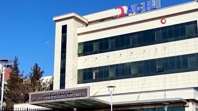 Diyarbakır'da görülmemiş olay: Kendi atı boğazından ısırıp üstünde tepindi