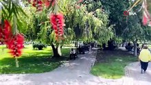 Adana'da termometreler 41 dereceyi gösterdi