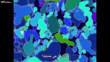 [Witanime.com] NGO EP 04 FHD