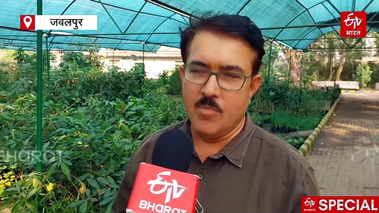 औषधीय महत्व की 50 एंडेंजर्ड स्पीशीज को बचाने की कोशिश, मध्य प्रदेश के जंगलों से हो चुकीं हैं गायब
