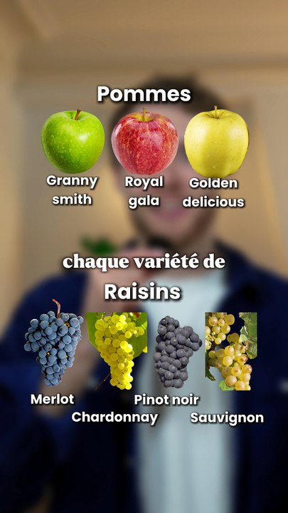 Qu'est-ce qu'un cépage ?