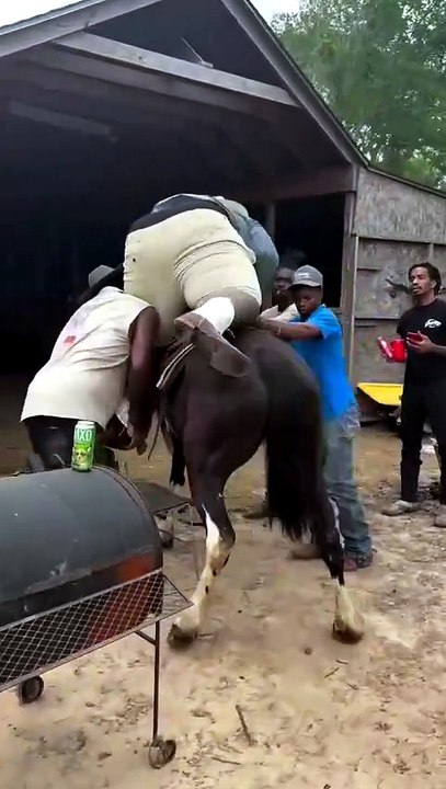 When the Saddle Says "No More": An Epic Horse Mounting Fail