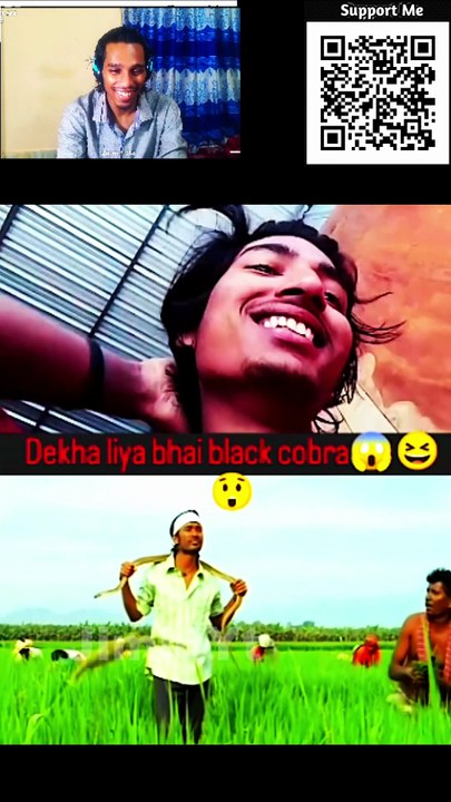 Man Catches Black Cobra Barehanded! 🐍 Shocking Reaction (No Fear!)
