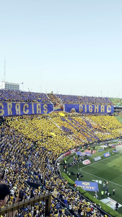 El mosaico en honor a Gignac