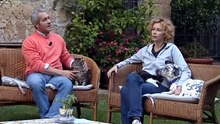 10 Enciclopedia Del Gatto - Il Gatto Siberiano