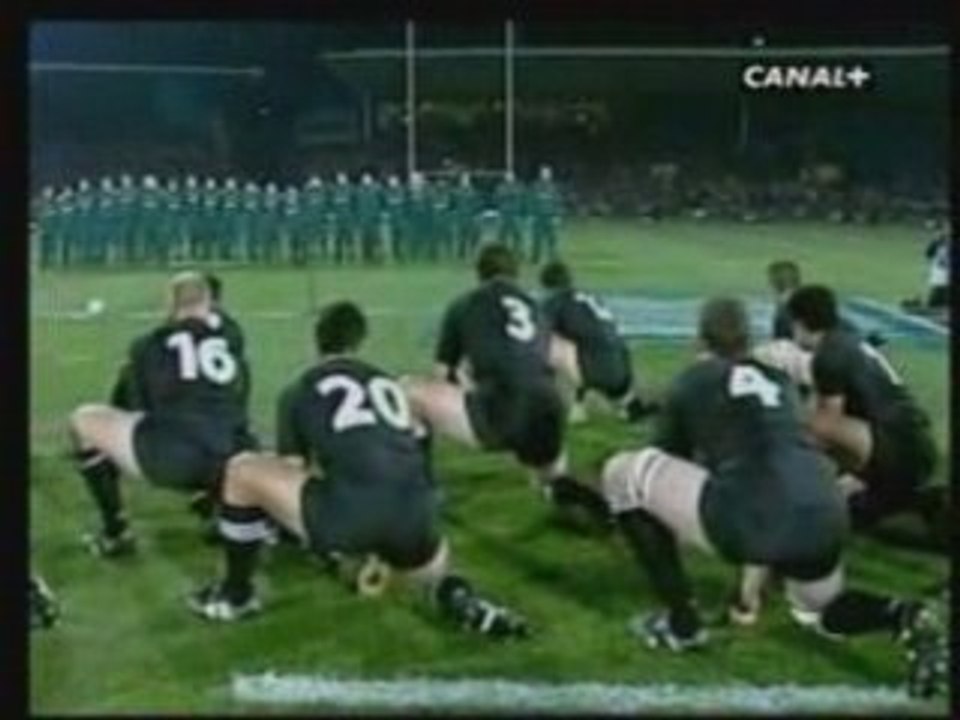 Haka Story by Remu