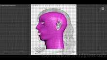 Ponikarovsky: 3DS MAX Practice Polygon Modeling Head Model Video #33 (04-26-2026)