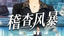 稽查风暴（79集）郑天阳＆徐香颖