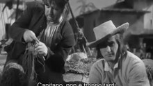 Captain Blood (1935) (sub ita)