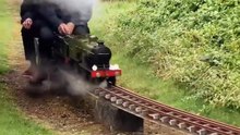 Steam mini train 🚂 ride