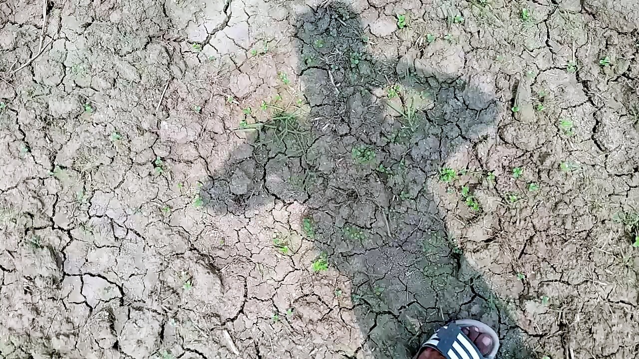 VID_20260426_103505