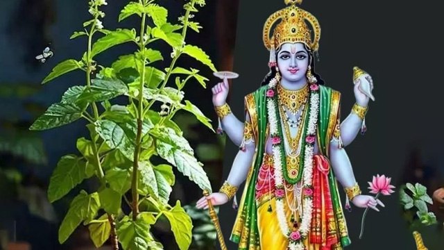 Mohini Ekadashi 2026 Upay: मोहिनी एकादशी पर तुसली का ये 1 उपाय जरूर करें, धन की कमी होगी दूर