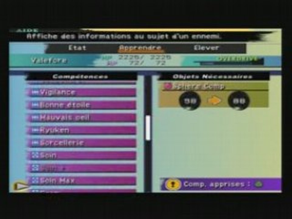 ingame Final Fantasy X "Petite balade"