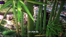 Kiếm Lai Phần 2 Tập 25 (Tập 51) - HD Vietsub + Thuyết Minh